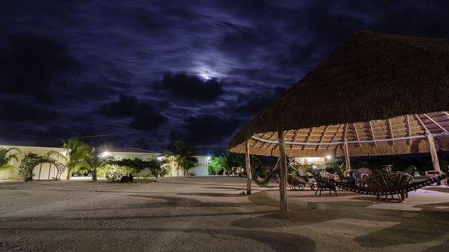 Royal Palm Island Hotel Belize City Restaurant billede